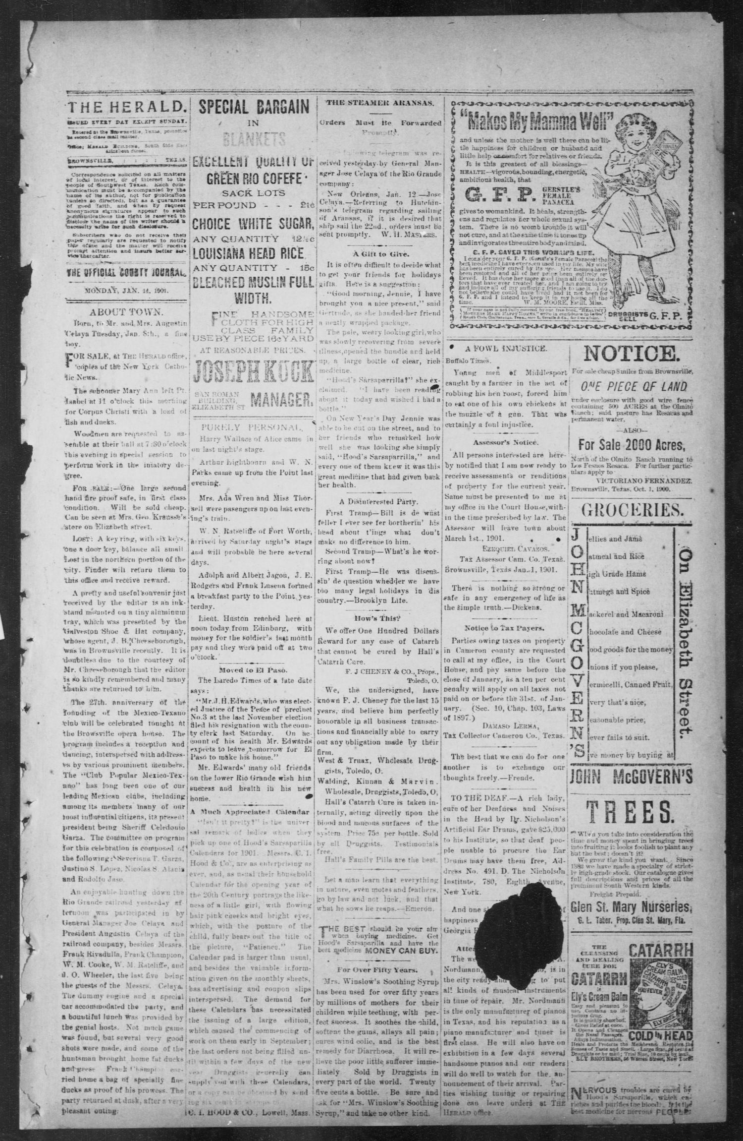Brownsville Daily Herald (Brownsville, Tex.), Vol. NINE, No. 165, Ed. 1, Monday, January 14, 1901
                                                
                                                    [Sequence #]: 3 of 4
                                                