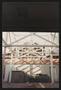 Photograph: [Interior View of Roof Supports #1]