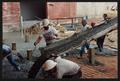 Thumbnail image of item number 1 in: '[Construction Workers Spreading Cement #2]'.