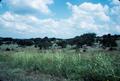 Photograph: [Grassy Field in New Braunfels]