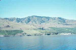 [Irrigated Orchards of Lake Chelan]