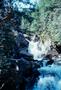 Photograph: [Deception Falls near Stevens Pass in the Cascade Mountain Range]