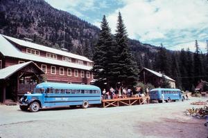 Primary view of object titled '[Buses at Loading Dock]'.