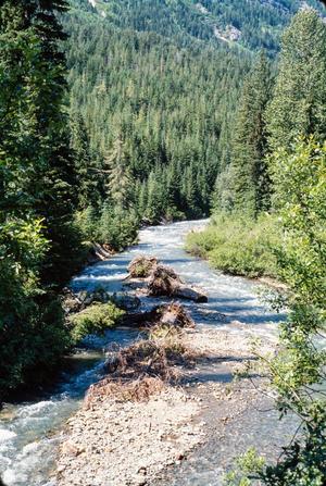 Primary view of object titled '[Railroad Creek]'.