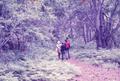 Photograph: [Hikers Standing in a Forest]