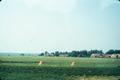 Primary view of [Rural Poland Fields and Hay Piles]