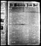 Newspaper: Die Wöchentliche Texas Post. (Houston, Tex.), Vol. 3, No. 48, Ed. 1 S…