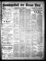 Primary view of Sonntagsblatt Der Texas Post. (Galveston, Tex.), Vol. 11, No. 29, Ed. 1 Sunday, August 29, 1880