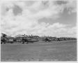Photograph: Airplanes in Rows (Randolph Field)