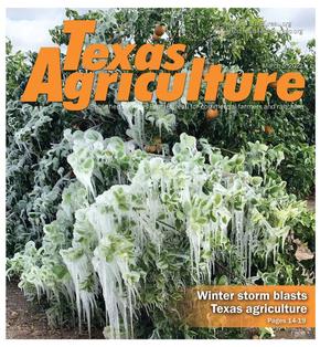 Texas Agriculture, Volume 36, Number 9, March 2021
