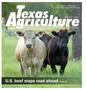 Primary view of Texas Agriculture, Volume 36, Number 3, September 2020