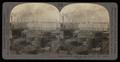 Thumbnail image of item number 1 in: 'Crude Oil Stills and Can Factory, Port Arthur, Texas'.
