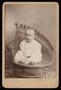 Thumbnail image of item number 1 in: '[An Unidentified Infant Sitting for a Portrait]'.