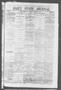 Thumbnail image of item number 1 in: 'Daily State Journal. (Austin, Tex.), Vol. 2, No. 181, Ed. 1 Sunday, August 27, 1871'.