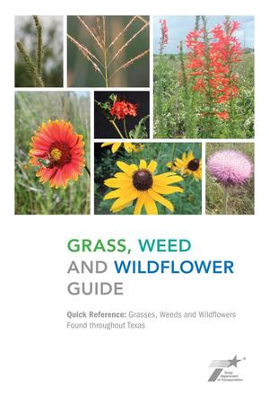 Primary view of Grass, Weed and WIldflower Guide