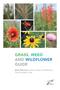 Book: Grass, Weed and WIldflower Guide