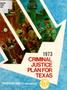 Thumbnail image of item number 1 in: 'Criminal Justice Plan for Texas: 1973'.