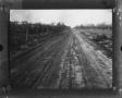 Primary view of [Dirt road past corn field]