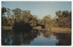 Primary view of object titled '[Postcard of Devil's Elbow, Big Cypress Bayou, Caddo Lake]'.
