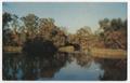 Thumbnail image of item number 1 in: '[Postcard of Devil's Elbow, Big Cypress Bayou, Caddo Lake]'.