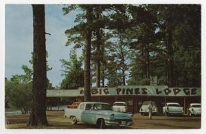 [Big Pines Lodge, on Caddo Lake, near Karnack, Texas]