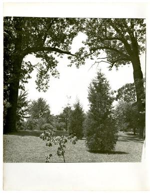 [College of Marshall Grounds, 1930s]