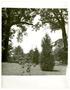 Photograph: [College of Marshall Grounds, 1930s]