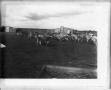 Photograph: [Cattle in front of shed]