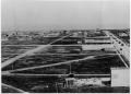 Thumbnail image of item number 1 in: '[Aerial view of Texas City after the 1915 hurricane]'.