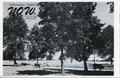 Primary view of LeTourneau Tech's NOW, Volume 9, Number 11, June 1, 1955