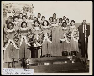 Primary view of object titled '[Mt. Horeb Gospel Choir]'.