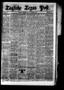 Newspaper: Tägliche Texas Post. (Galveston, Tex.), Vol. 6, No. 89, Ed. 1 Saturda…