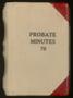 Thumbnail image of item number 1 in: 'Travis County Probate Records: Probate Minutes 79'.