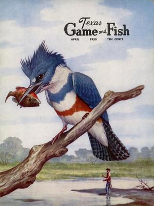 Primary view of object titled 'Texas Game and Fish, Volume 8,  Number 5, April 1950'.