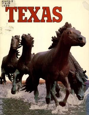 Texas Travel Handbook