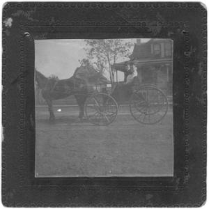 A Man and a Woman in a Horse Drawn Buggy
