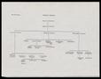 Thumbnail image of item number 1 in: '[Map of the Corporate Structure of the Ensemble Theatre, 1987-1988]'.