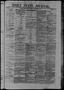 Thumbnail image of item number 1 in: 'Daily State Journal. (Austin, Tex.), Vol. 1, No. 186, Ed. 1 Sunday, September 4, 1870'.