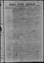 Thumbnail image of item number 1 in: 'Daily State Journal. (Austin, Tex.), Vol. 1, No. 244, Ed. 1 Friday, November 11, 1870'.