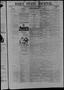 Thumbnail image of item number 1 in: 'Daily State Journal. (Austin, Tex.), Vol. 1, No. 253, Ed. 1 Tuesday, November 22, 1870'.