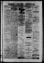 Primary view of Daily State Journal. (Austin, Tex.), Vol. 3, No. 269, Ed. 1 Saturday, December 14, 1872