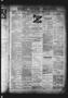 Primary view of Daily State Journal. (Austin, Tex.), Vol. 4, No. 9, Ed. 1 Monday, February 10, 1873