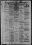 Thumbnail image of item number 3 in: 'Daily State Journal. (Austin, Tex.), Vol. 4, No. 28, Ed. 1 Tuesday, March 4, 1873'.