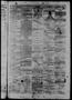 Thumbnail image of item number 3 in: 'Daily State Journal. (Austin, Tex.), Vol. 4, No. 33, Ed. 1 Monday, March 10, 1873'.