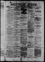 Primary view of Daily State Journal. (Austin, Tex.), Vol. 4, No. 34, Ed. 1 Tuesday, March 11, 1873