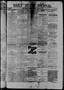 Thumbnail image of item number 1 in: 'Daily State Journal. (Austin, Tex.), Vol. 4, No. 38, Ed. 1 Saturday, March 15, 1873'.