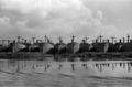 Photograph: [Mothball Fleet of Ships in Beaumont]