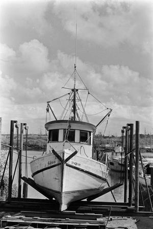 Primary view of object titled '[Boat in Dry Dock at B and B Shipyard]'.