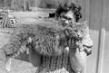 Thumbnail image of item number 1 in: '[Barbara Lewis Holding a Maine Coon Cat]'.