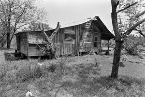 Primary view of object titled '[Log Cabin Near Fred, Texas #2]'.